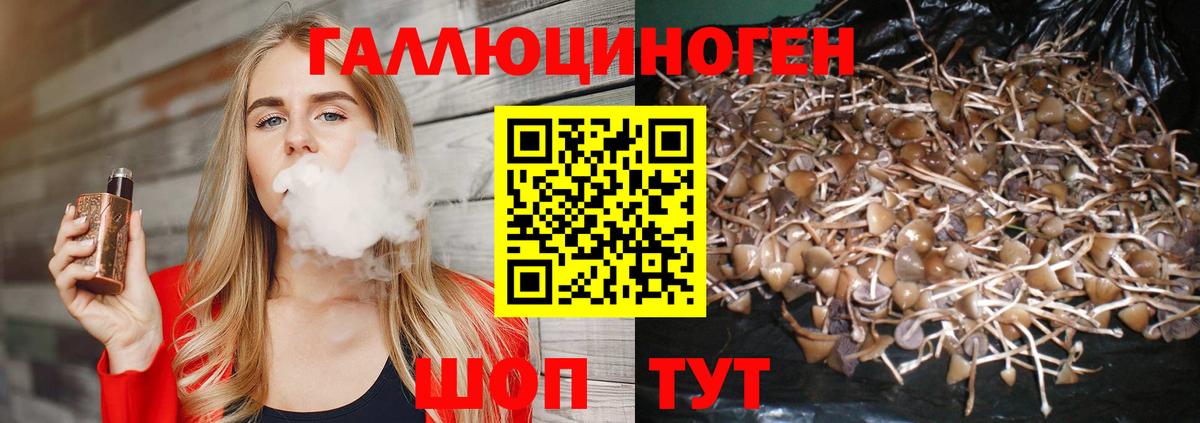 Псилоцибиновые грибы мухоморы  Вход с VPN  Кызыл  Псилоцибиновые грибы Psilocybe 