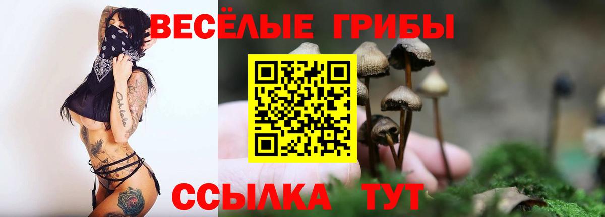 Псилоцибиновые грибы мухоморы Кызыл