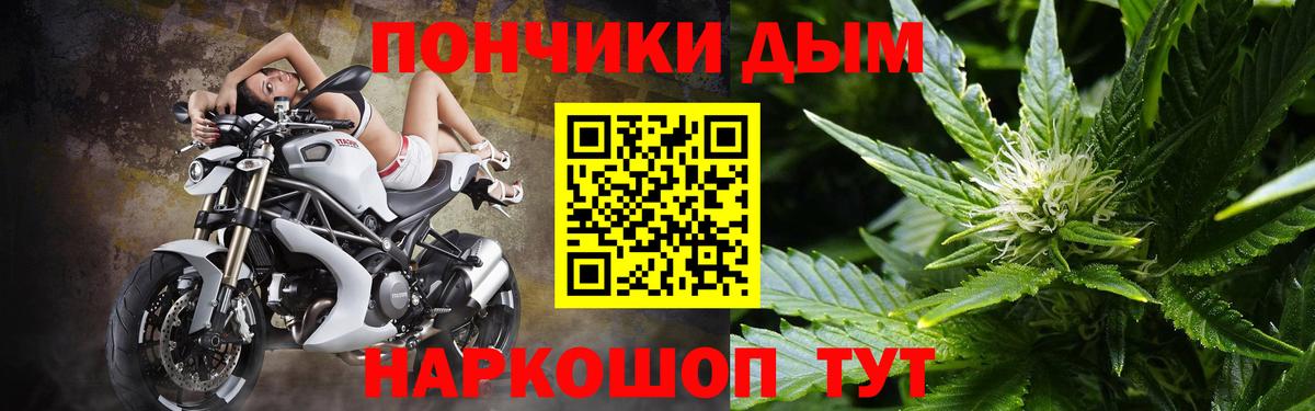 Бошки марихуана ГИДРОПОН Кызыл